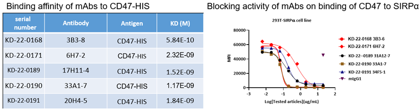 CD47