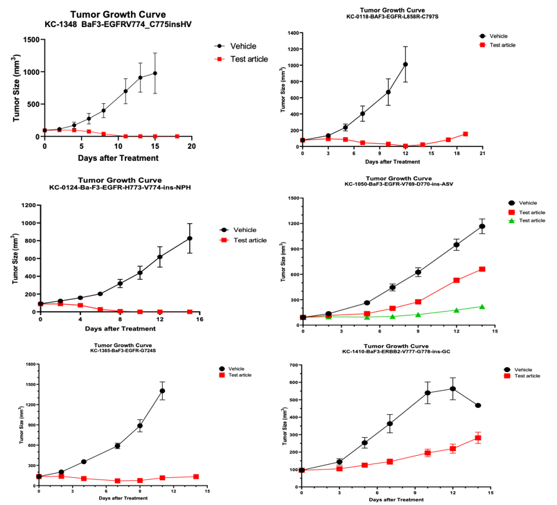 In vivo assessment of kinase inhibitor anti-tumor activity