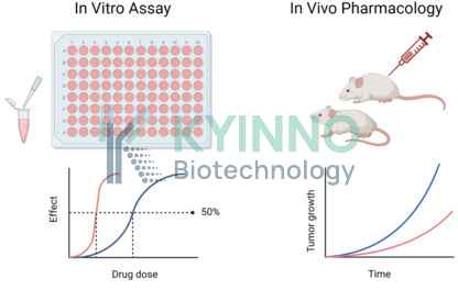 in vitro and in vivo pharmacology services