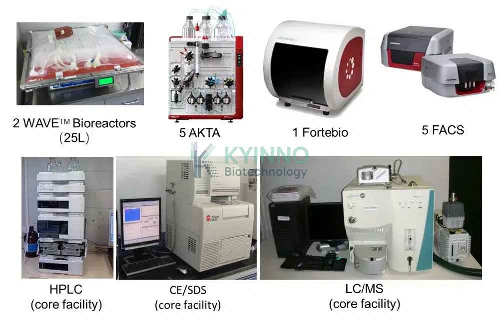 kyinno-antibody-production-platform-testing-instruments