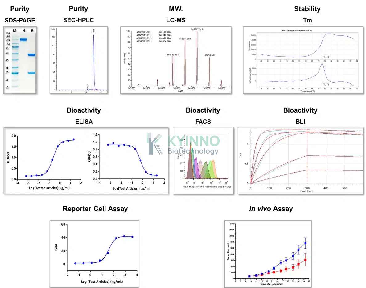 kyinno antibody production quality control system