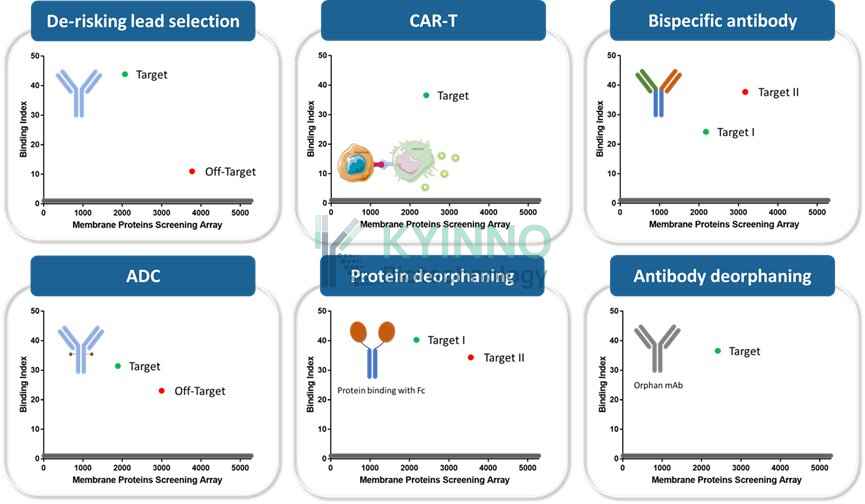 high sensitivity reporter system detection infographic