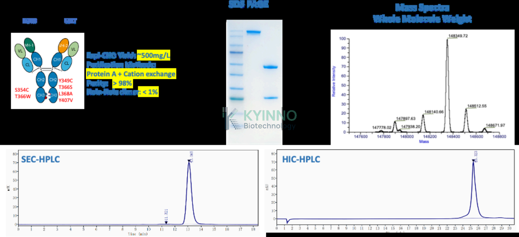 EGFR x MET CLC 双特异性抗体理化参数