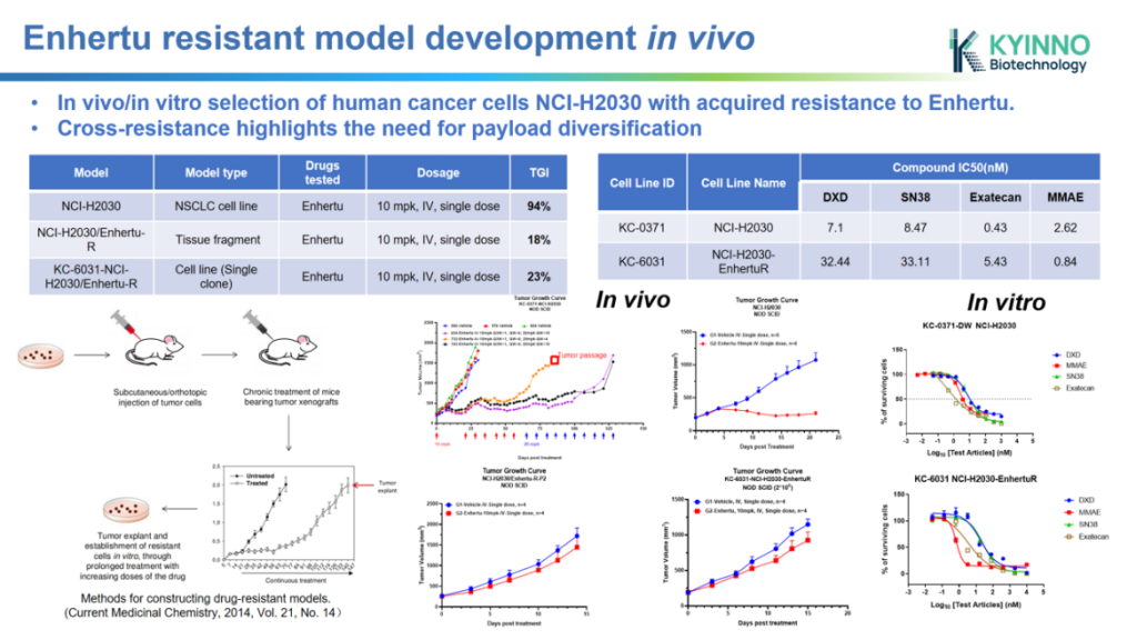 kyinno-drug-resistant-tumor-model