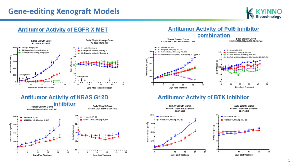 kyinno-gene-editing-xenograft-model